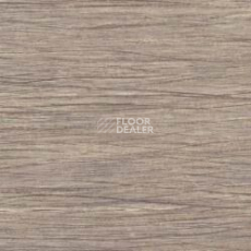 Линолеум Gerflor Taralay Initial Comfort 0799 Filament Light фото 1 | FLOORDEALER